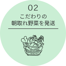 こだわりの朝取れ野菜を発送